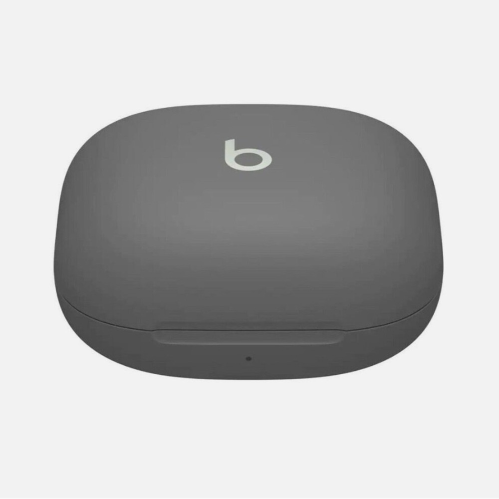Beats case w/ charger and buds sage gray